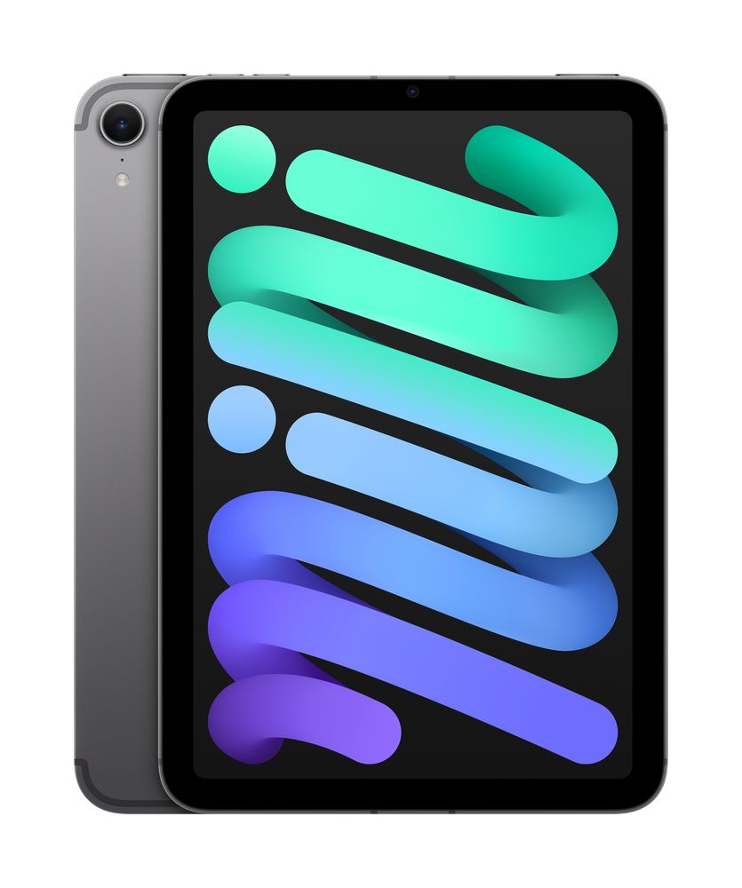 iPad mini Wi-Fi + Cellular 128GB - Space Grey