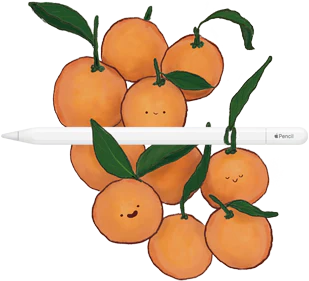 Un Apple Pencil con USB-C apoyado sobre unas naranjas