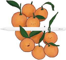 Un Apple Pencil con USB-C apoyado sobre unas naranjas